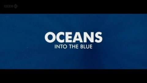Oceans - Into the Blue